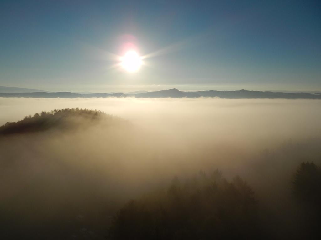 Shin Furano Prince Hotel Buitenkant foto Fog over the Black Forest